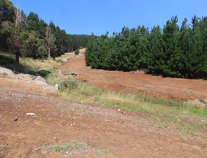 Lot 83 East Nannup Road, East Nannup, Bunbury, 0 침실, 0 욕실, Lifestyle Property