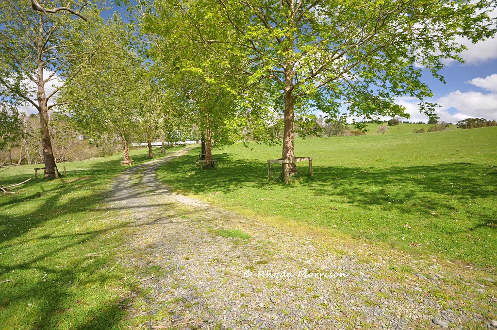 Paparoa 4房  Idyllic Valley Farmlet