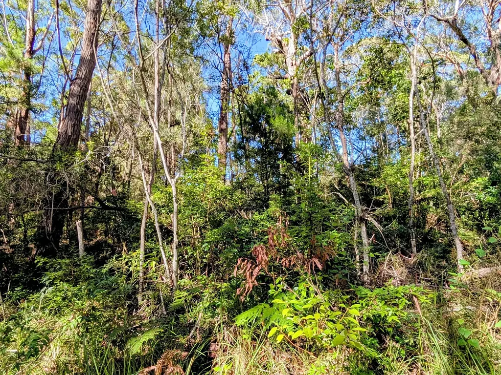 Russell Island 650m² Vacant Land in Central Russell Island – Walk to Shops & Ferry
