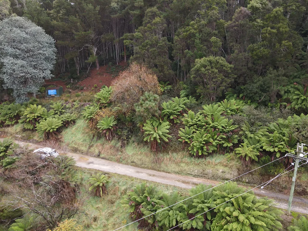 Zeehan Elevated Block of Land in a Quiet Area!