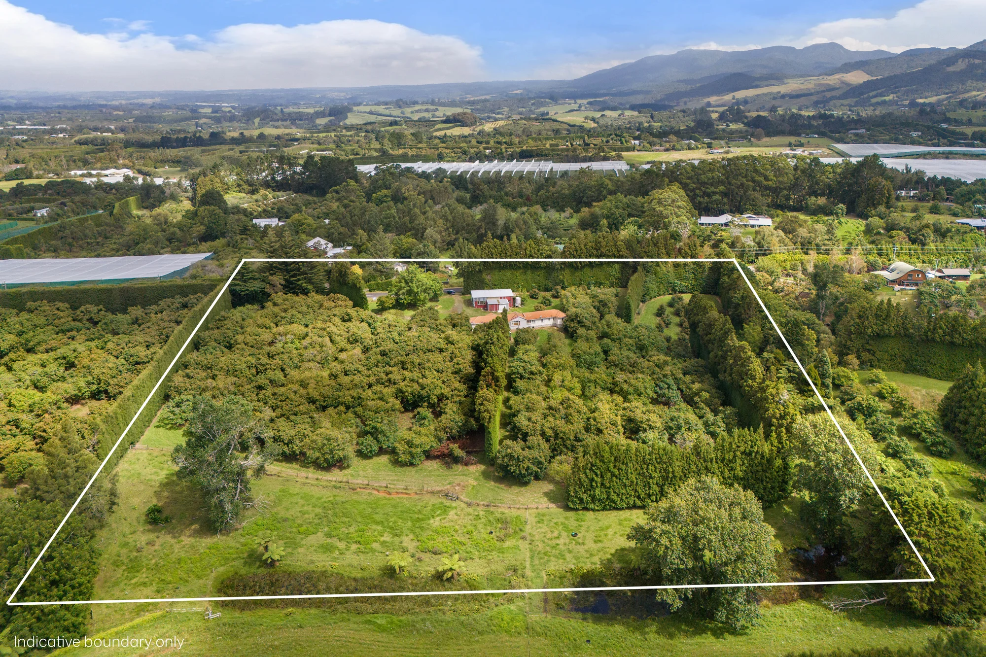 Katikati Vendor requests present all offers.