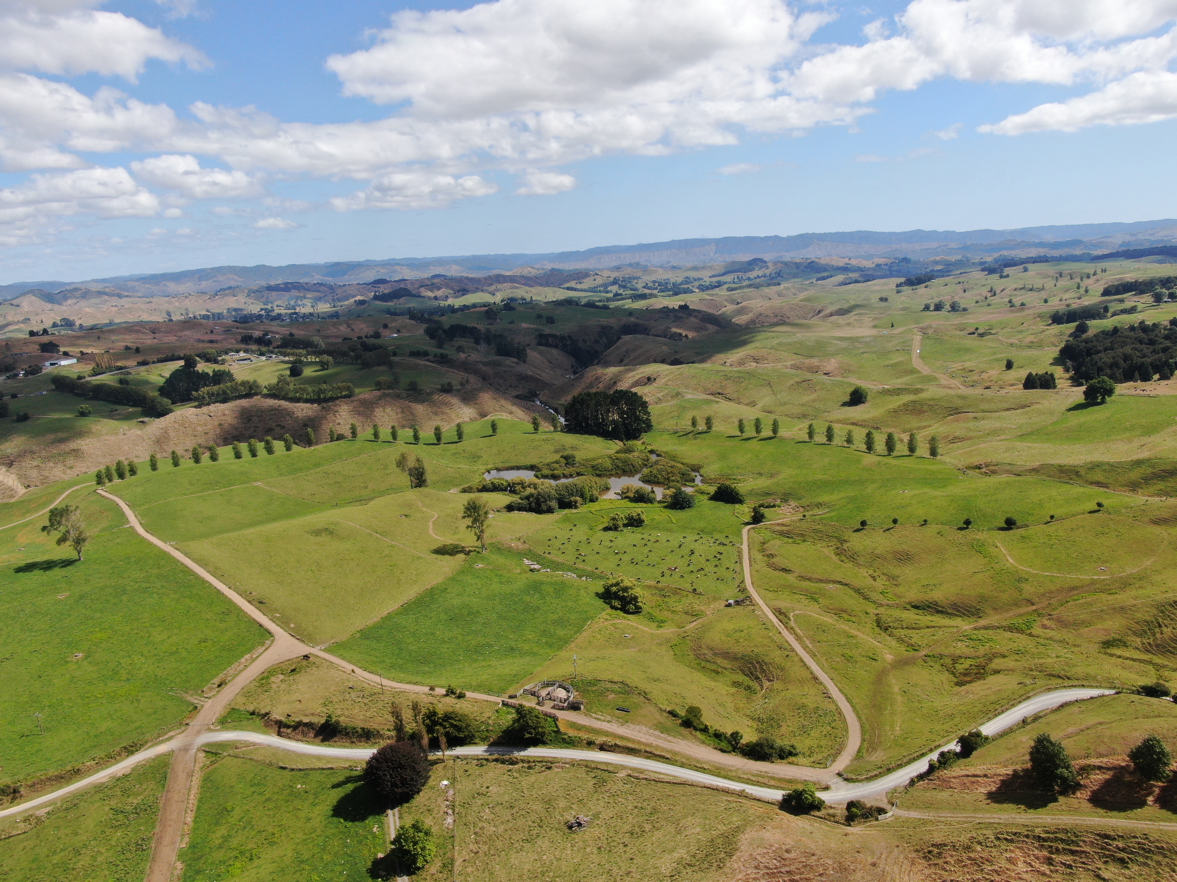 Paekaka Road, Piopio, Waitomo, 0 कमरे, 1 बाथरूम, Grazing