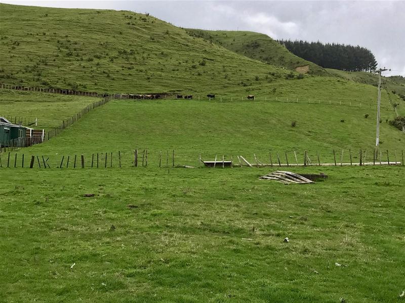 Te Mahoe Road, Mokau, Waitomo, 0 Schlafzimmer, 1 Badezimmer