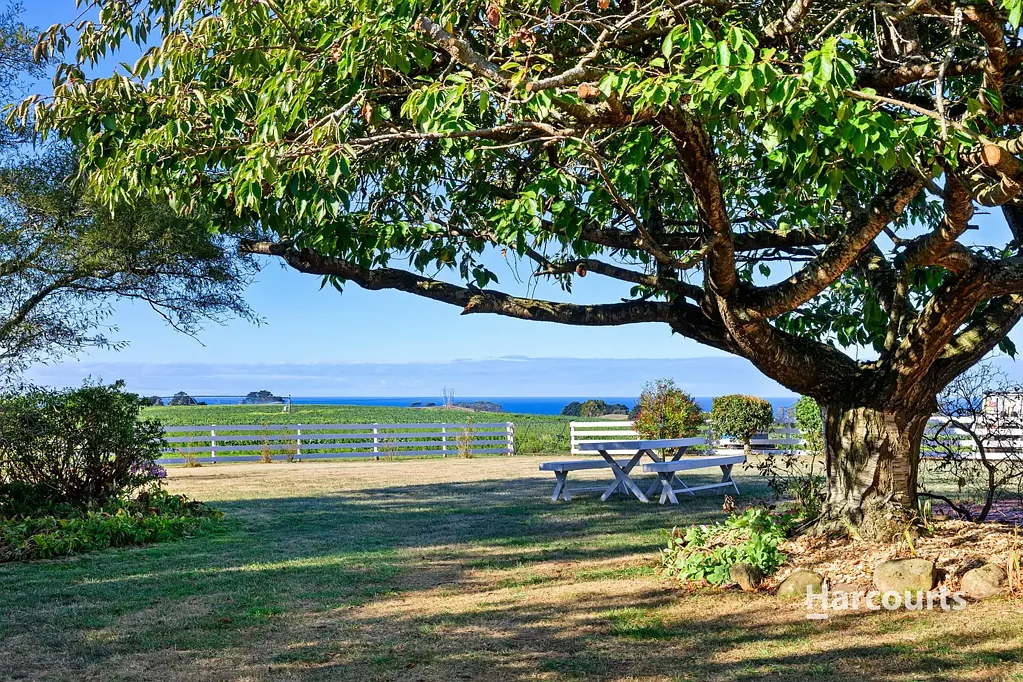 155 West Pine Road, Penguin, TAS 7316