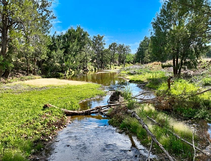 227 Miranee Road, Scone, NSW 2337, 3 ਕਮਰੇ, 2 ਬਾਥਰੂਮ, Lifestyle Property