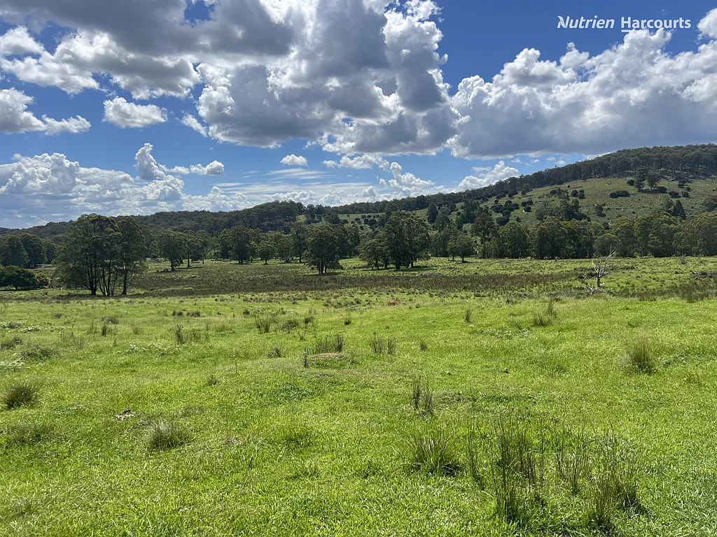 'Mt Clear'/* Morven Road, Dundee, NSW 2370