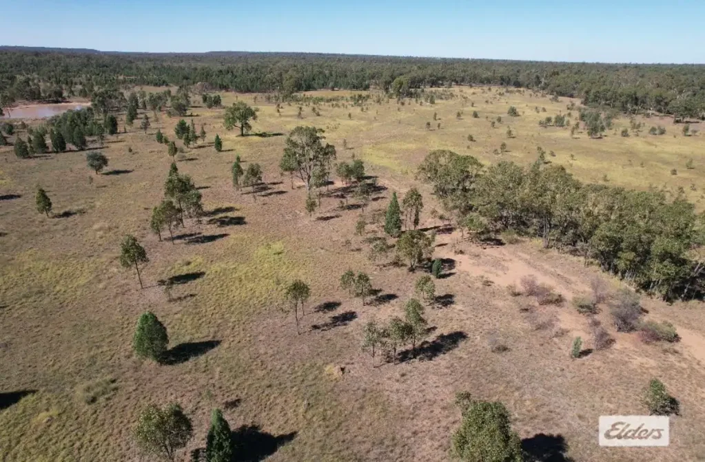 Miles Shed, Space & Potential on 11.16 Hectares