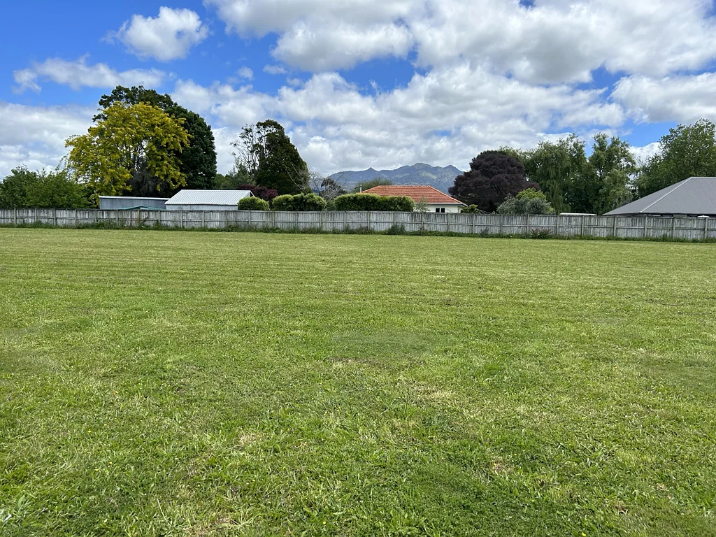 Pirongia Pirongia section-motivated vendor!