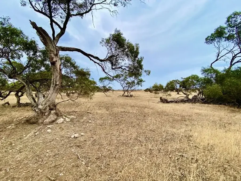 Streaky Bay VARIOUS "BUSH BLOCK" ALLOTMENTS NOW AVAILABLE!
$150,000 - $180,000 PER ALLOTMENT