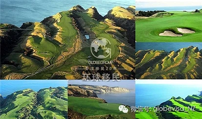 新西兰Cape Kidnappers三度被评最佳高尔夫场地