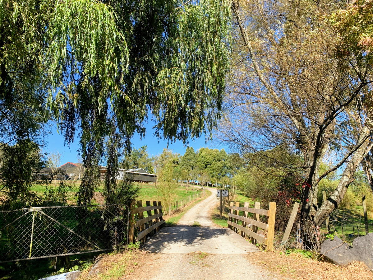 160 Mcbrydie Road, Lower Moutere, Tasman, 3 Bedrooms, 0 Bathrooms