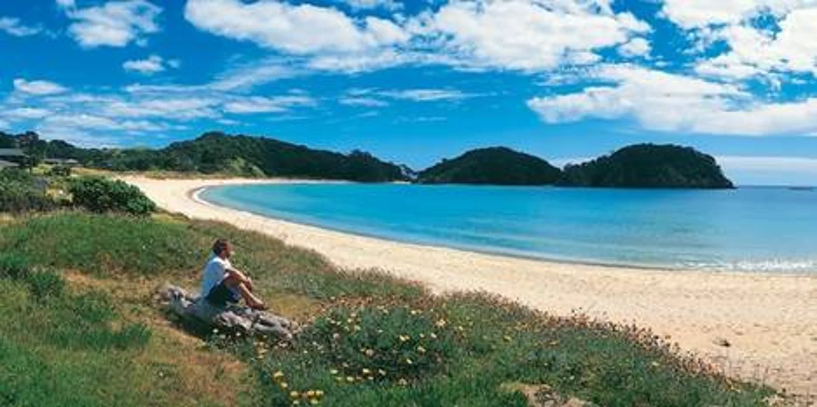 在新西兰投资海滩小屋(bach)划算吗？