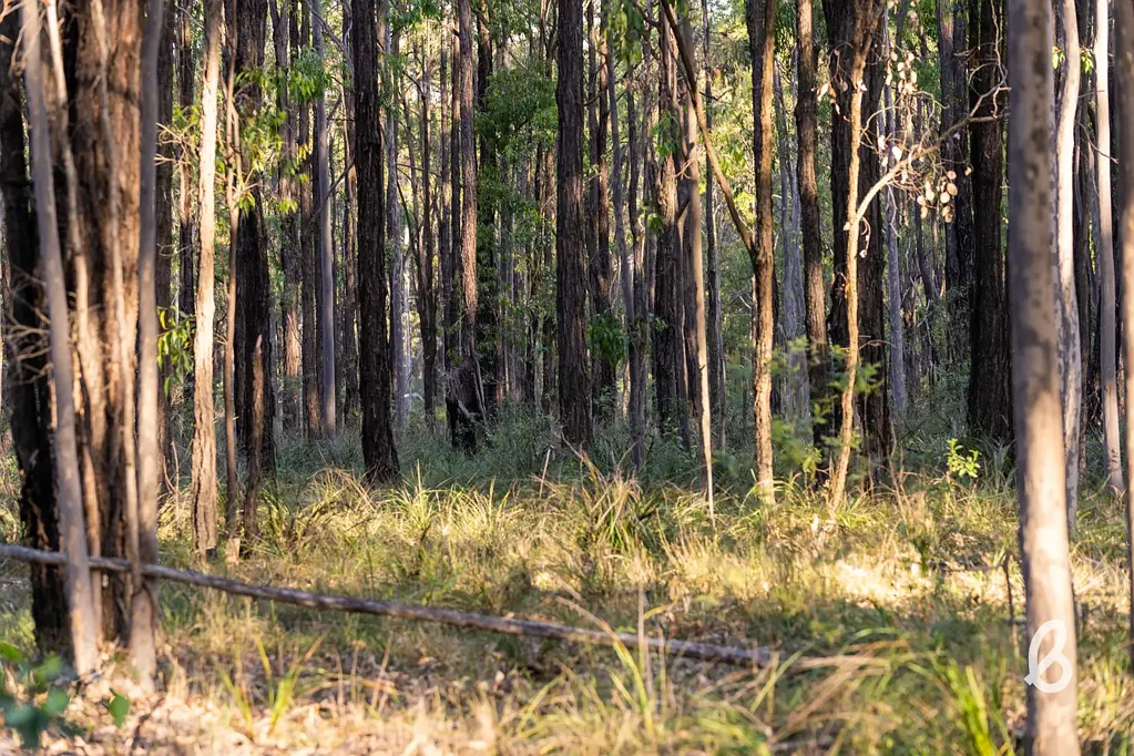Lower Belford  100 ACRES | RURAL OASIS ON THE DOORSTEP OF THE HUNTERS WINE REGION