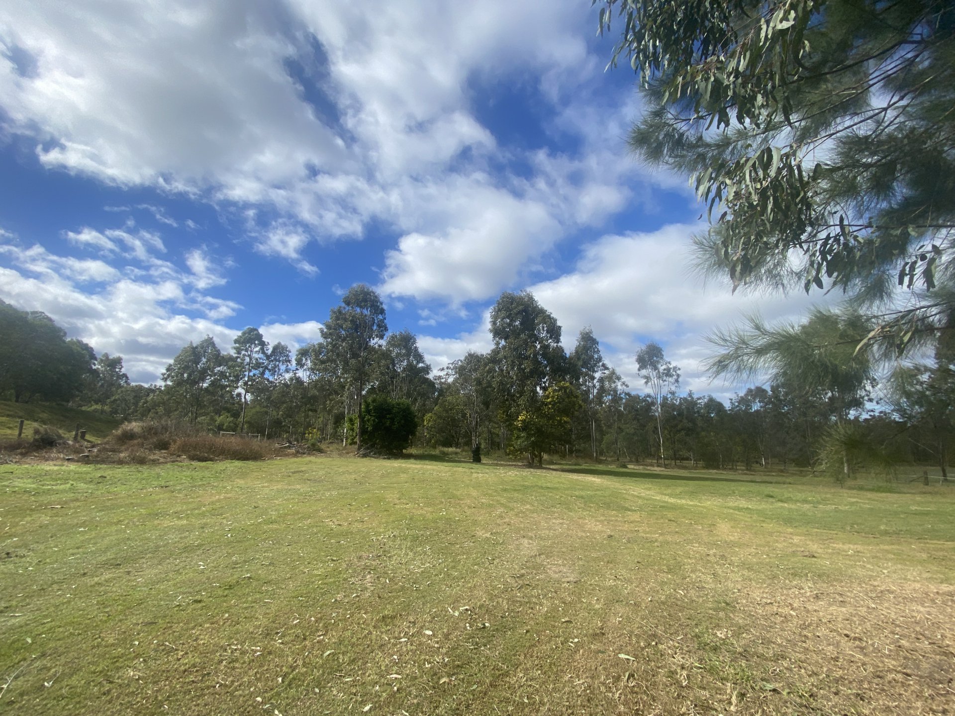 166 FORESTRY RD, ADARE QLD 4343, 0 Bedrooms, 0 Bathrooms, Lifestyle Property