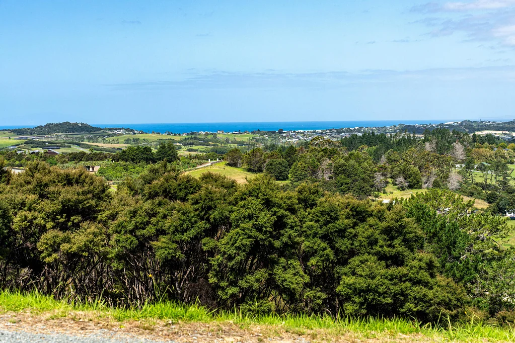 Mangawhai  Surrounded by Nature, Framed by Views - View Today