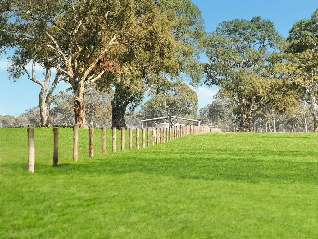 Rocklands “The 1200”- Well balanced, high rainfall versatile country