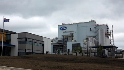 雅士利新西兰工厂试车成功 投产只待审批“东风”