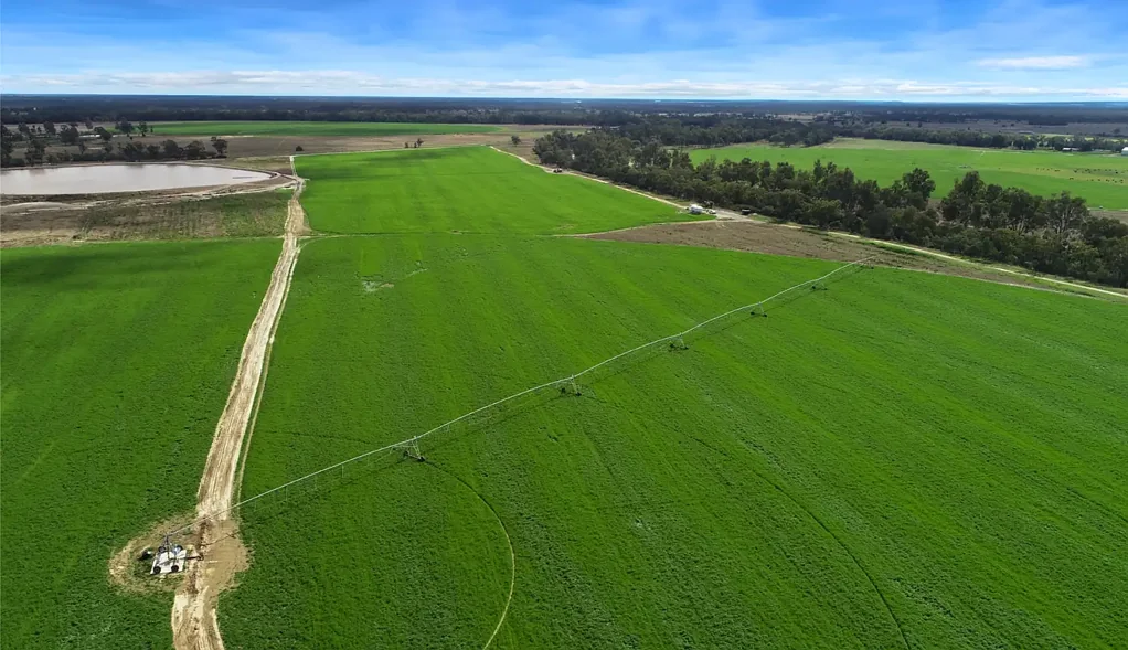 "Sunnygirl" 5395 Texas Yelarbon Road, Goondiwindi, QLD 4390