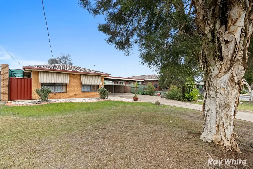 14 Loth Street, Ashmont, NSW 2650