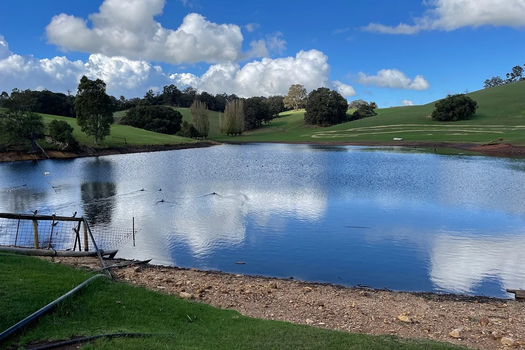 Queenwood  THIS IS A RARE GEM - 317 ACRES