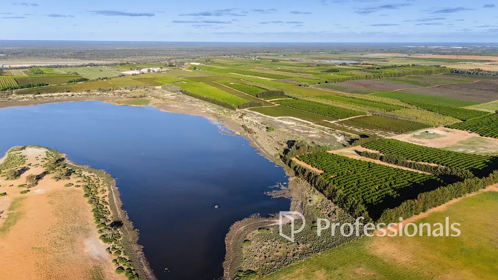 Iraak Crux Farms - Versatile Citrus, Almond & Viticulture Enterprise - 170.5Ha (421 Acres)
