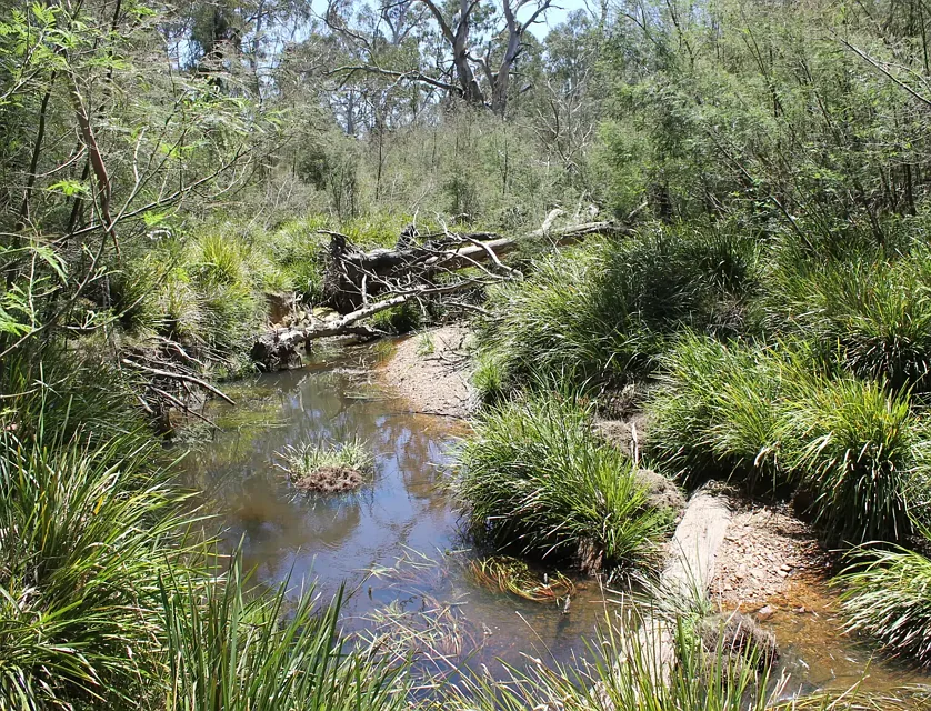 Lot 89 Ningee Nimbell Creek Road, Nerriga, South Coast, 0 રૂમ, 0 બાથરૂમ, Lifestyle Property