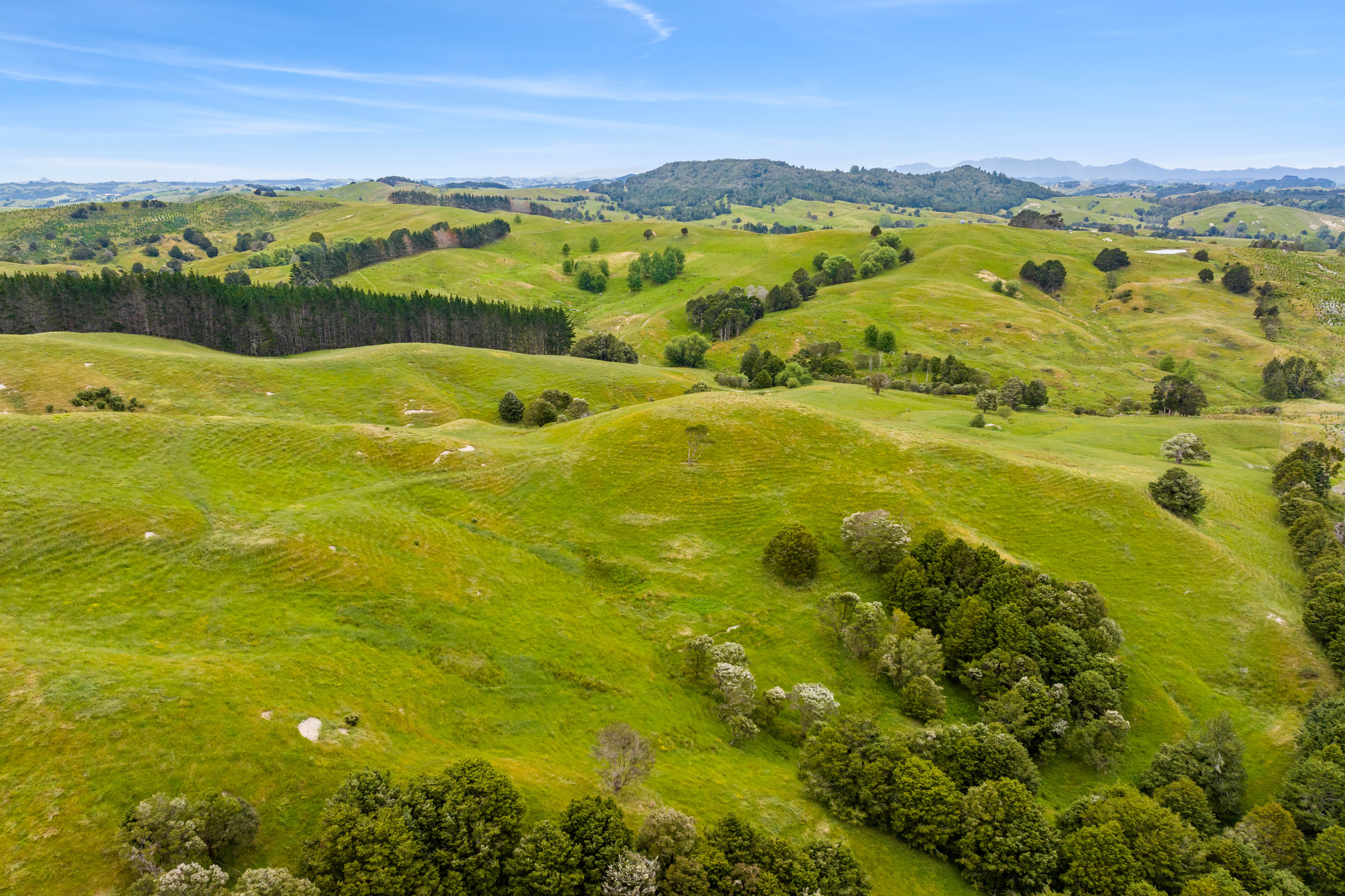 1228a Bull Road, Paparoa, Kaipara, 0 Kuwarto, 0 Banyo, Grazing