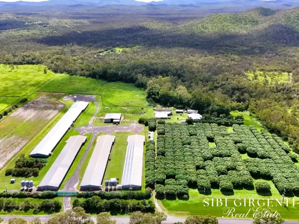 Biboohra IMMEDIATE INCOME AND A STRONG INVESTMENT