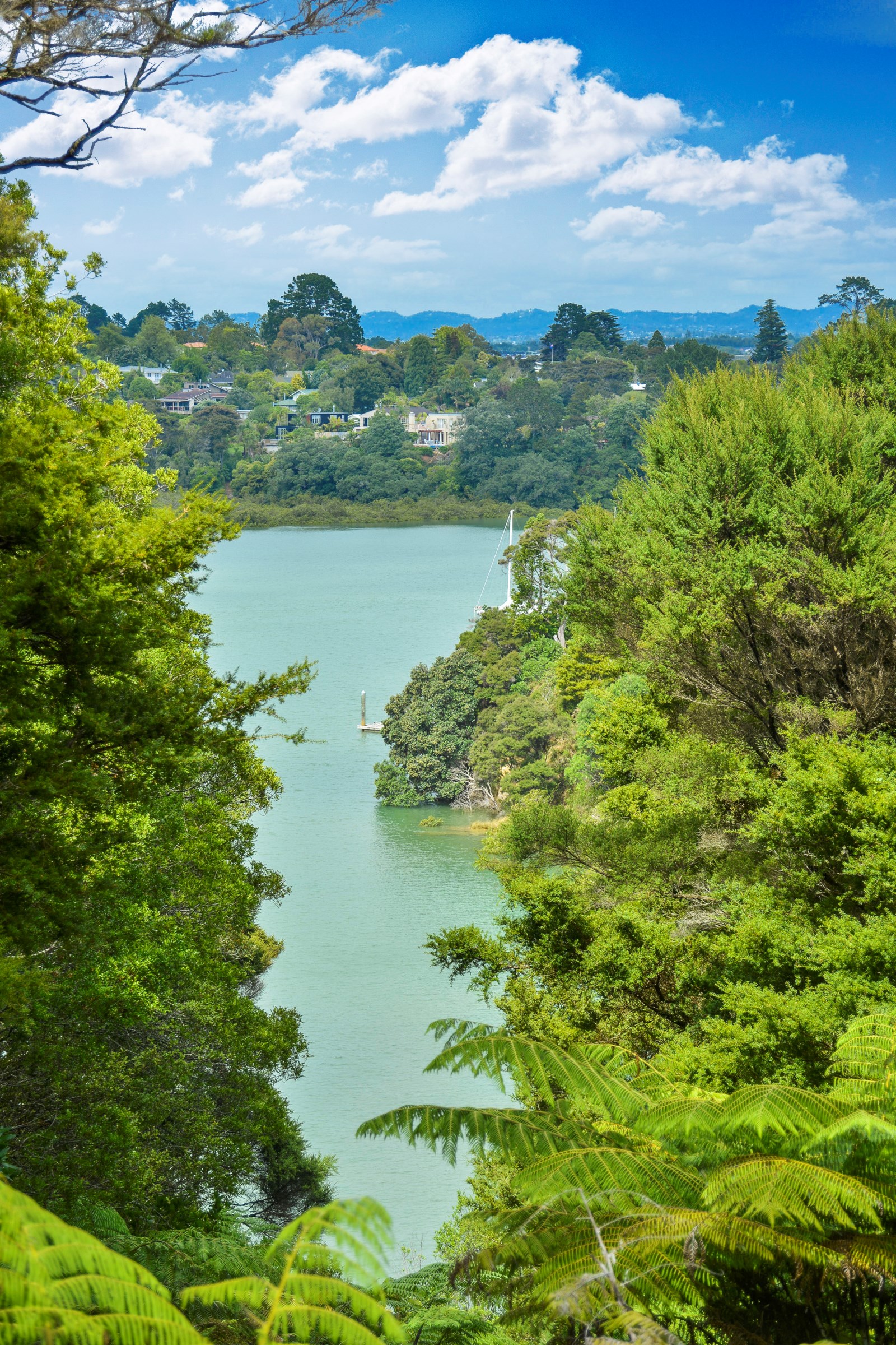 36 Te Araroa Drive, Paremoremo, Auckland - North Shore, 2房, 0浴