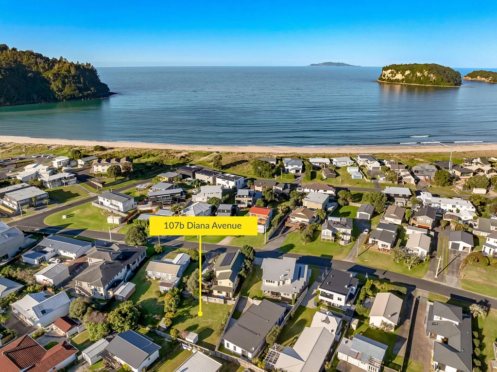 Whangamata Diamond on Diana