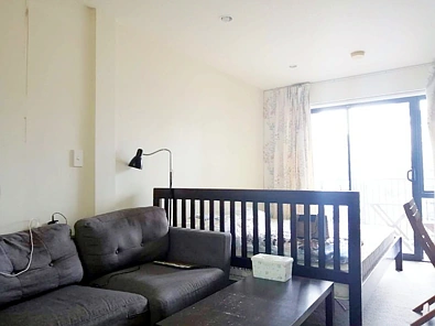 Fully furnished Studio Apartment with a parking space in Auckland CBD