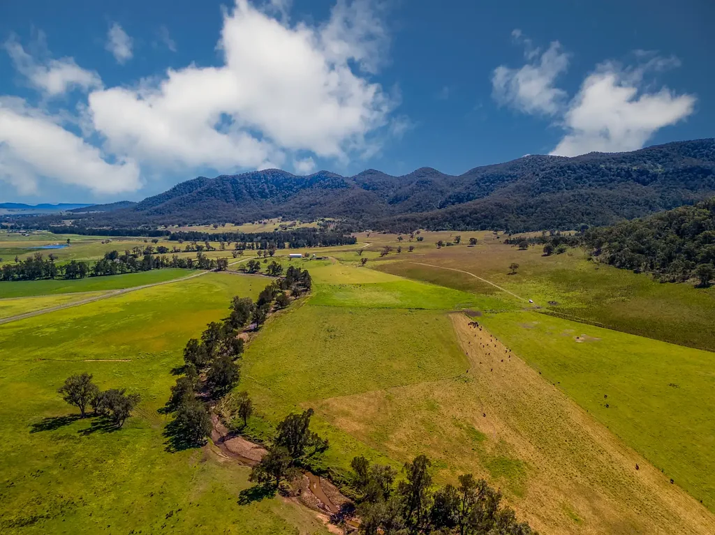 1692 Martindale Road, Denman, NSW 2328