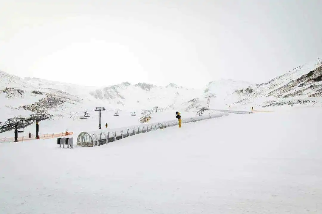 现在虽然是新西兰的春天，但是南岛又下大雪了！