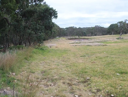 148B Sunnyside Loop Road, Tenterfield, NSW 2372, 0房, 0浴, Section