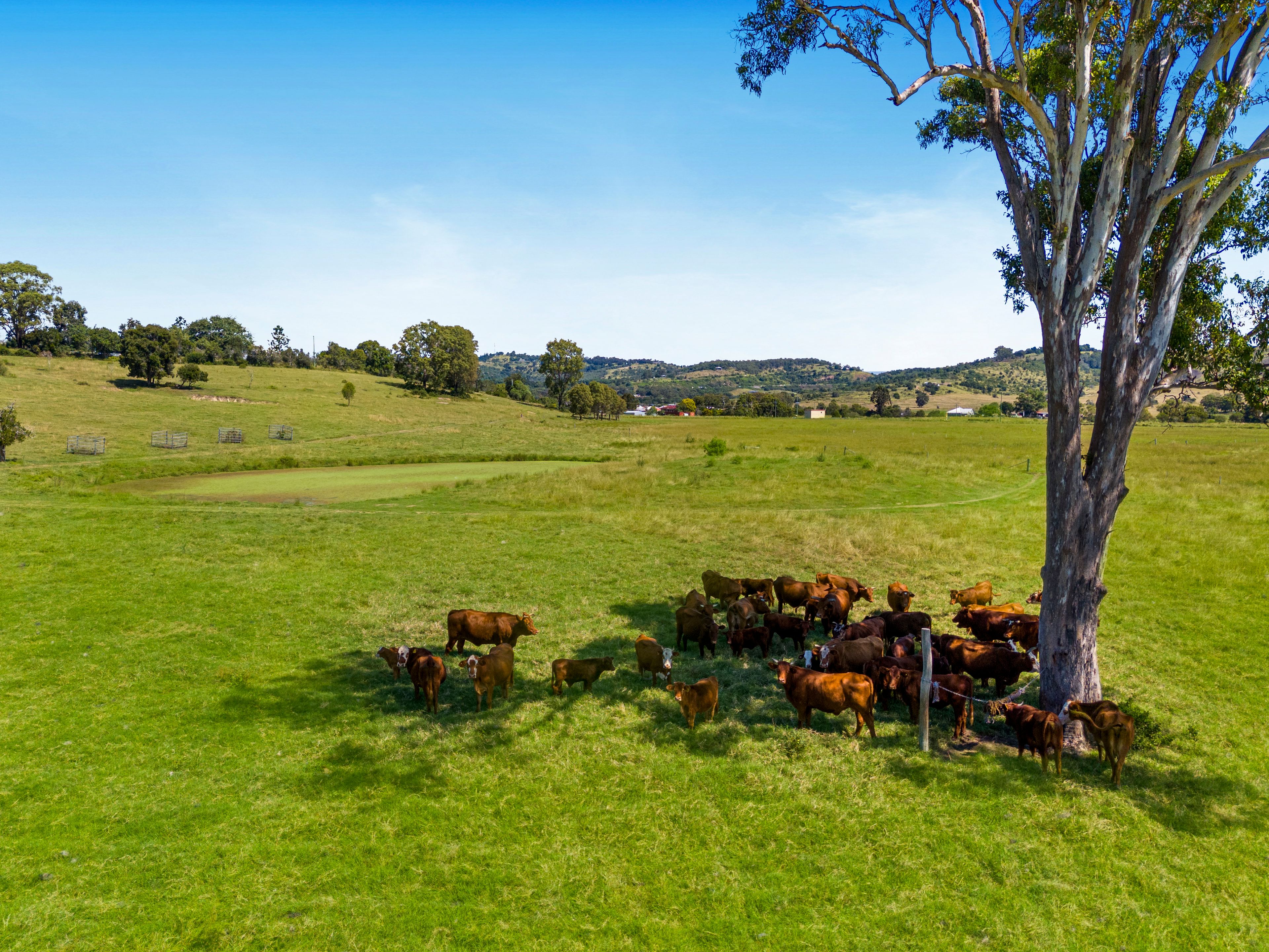 861 LOWOOD MINDEN RD, MINDEN QLD 4311, 0 chambres, 0 salles de bain, Lifestyle Property