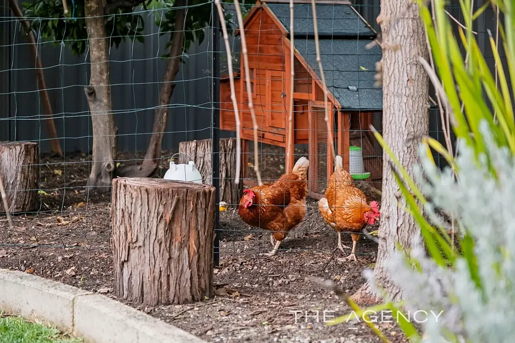 Bassendean 4房  Oozing with Charm With Huge Backyard & Great Value