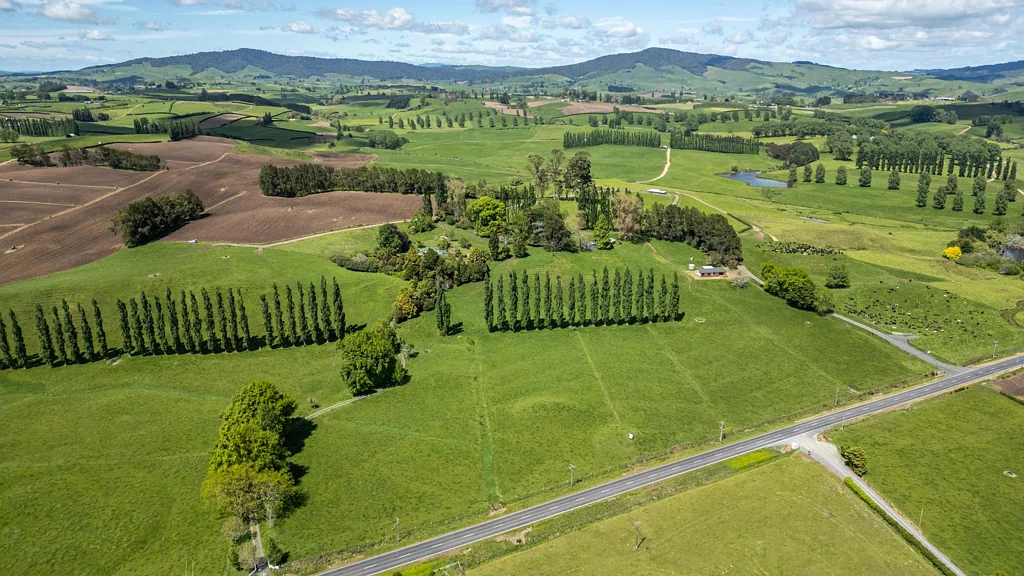Lot 2-1768 Morrinsville Walton Road, Matamata, Matamata-Piako, Waikato