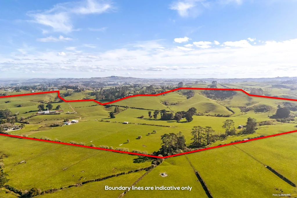 Tuakau 7Moenga DECEASED ESTATE - 2 Dwellings - 63.16 Hectares