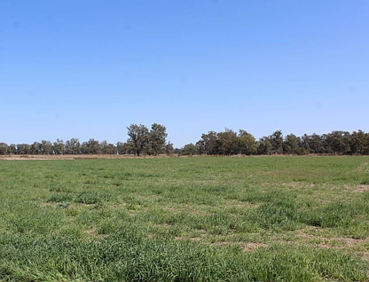 564 Cobba Da Mana Road, Oman Ama, Darling Downs, 7 ਕਮਰੇ, 2 ਬਾਥਰੂਮ, Lifestyle Property