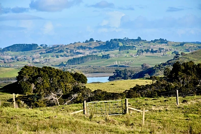 Topuni Price Reduced Further
