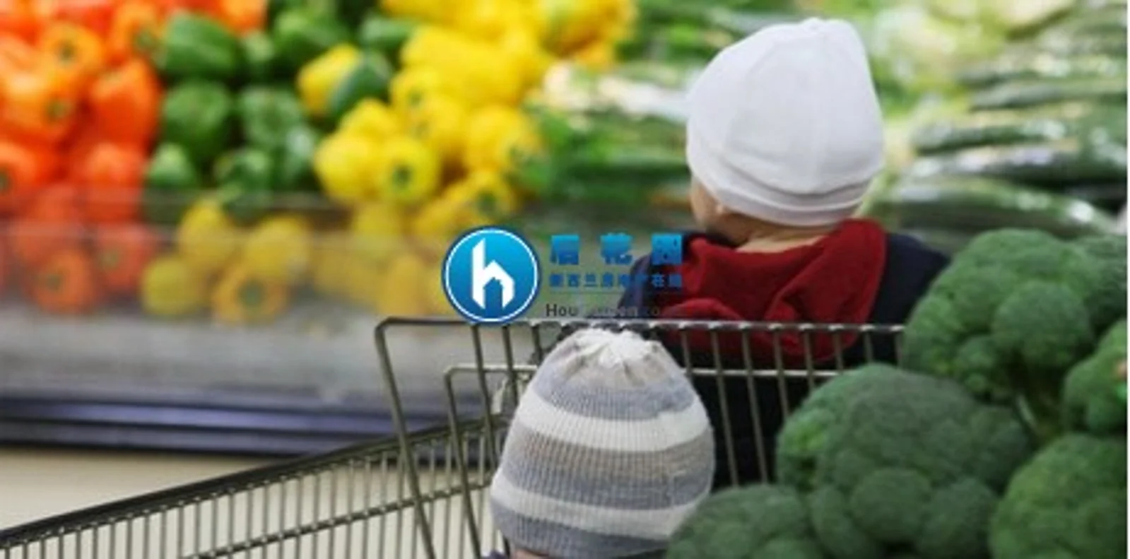 新西兰9月食品价格下降
