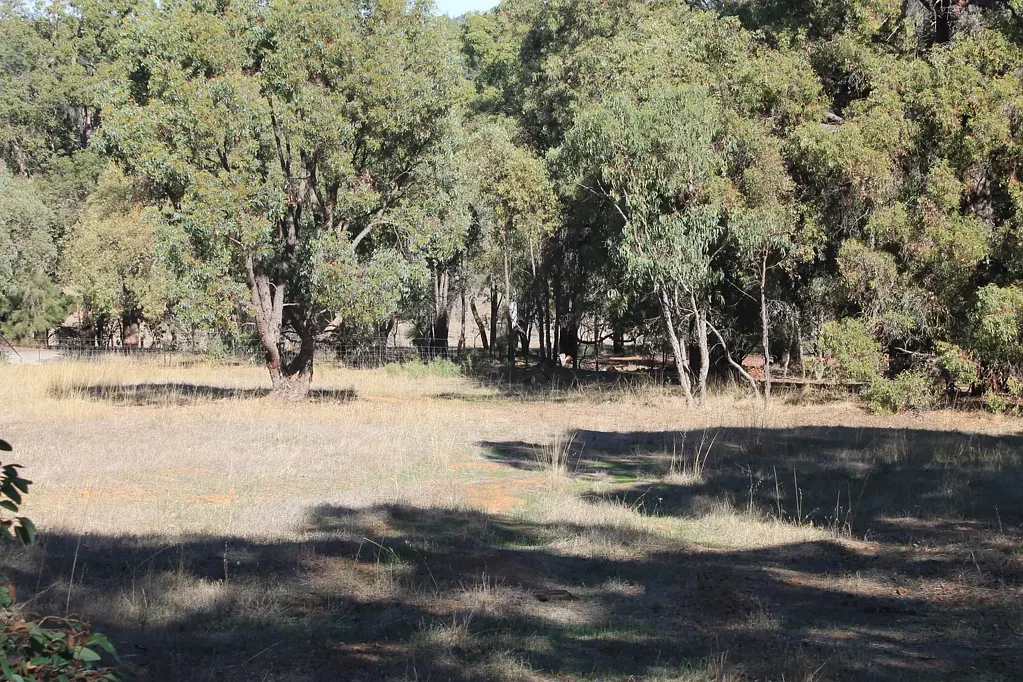 Lot 57,  579 Dinsdale Road, Wooroloo, WA 6558