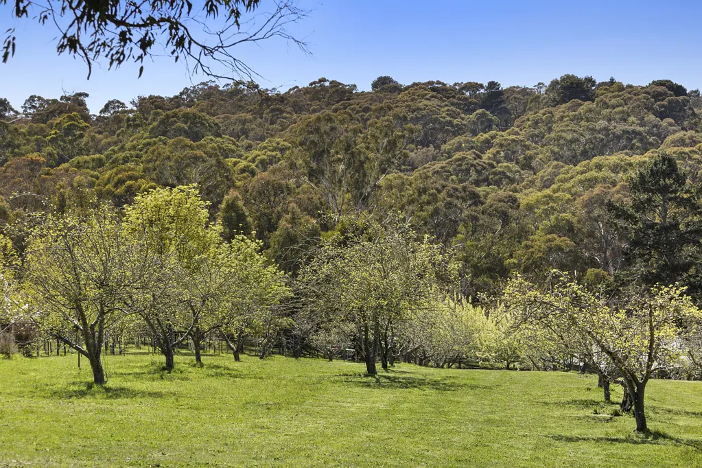 43 Western Avenue, Hepburn, VIC 3461