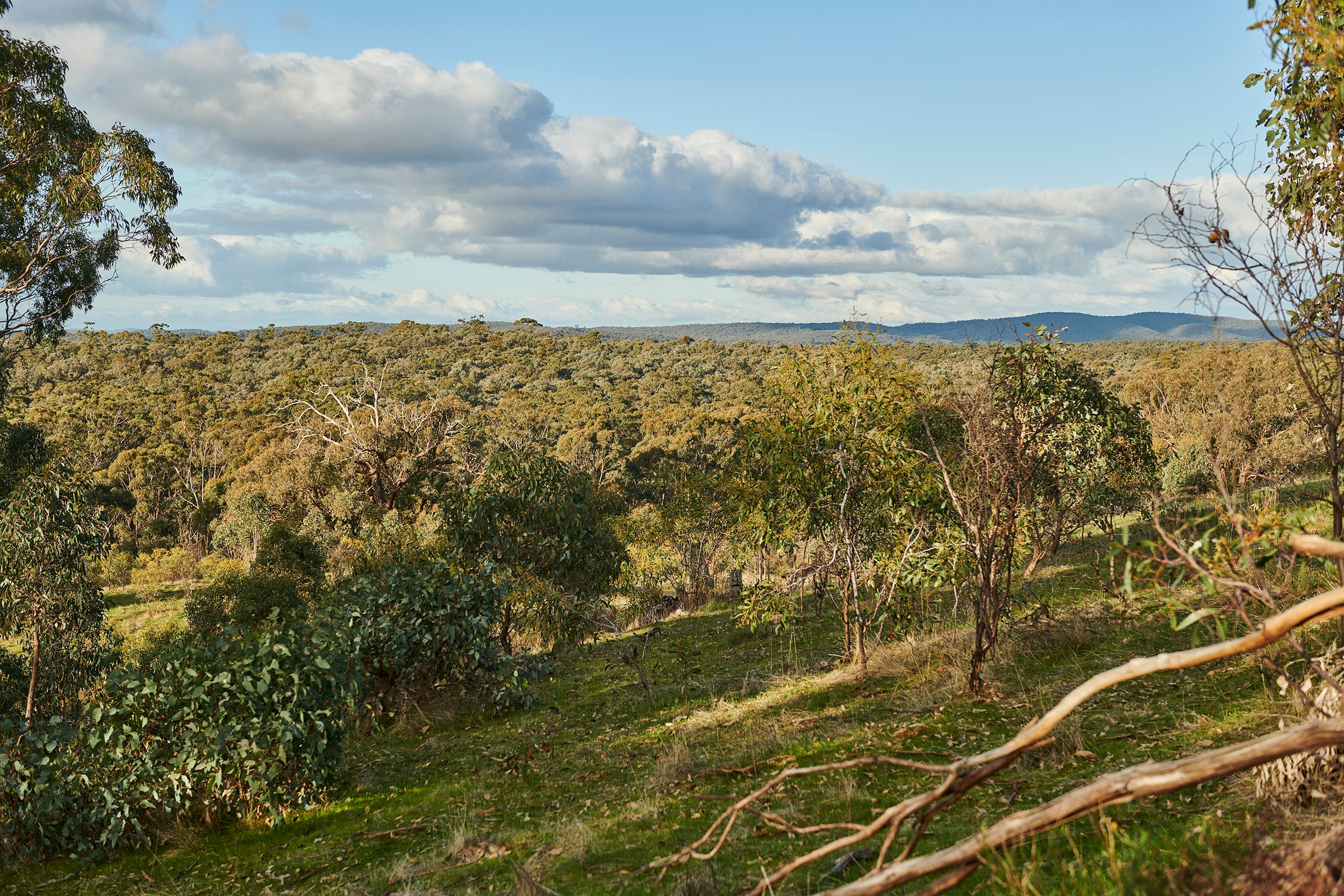 30 YEMM LANE, HEATHCOTE VIC 3523, 0 Schlafzimmer, 0 Badezimmer, Section