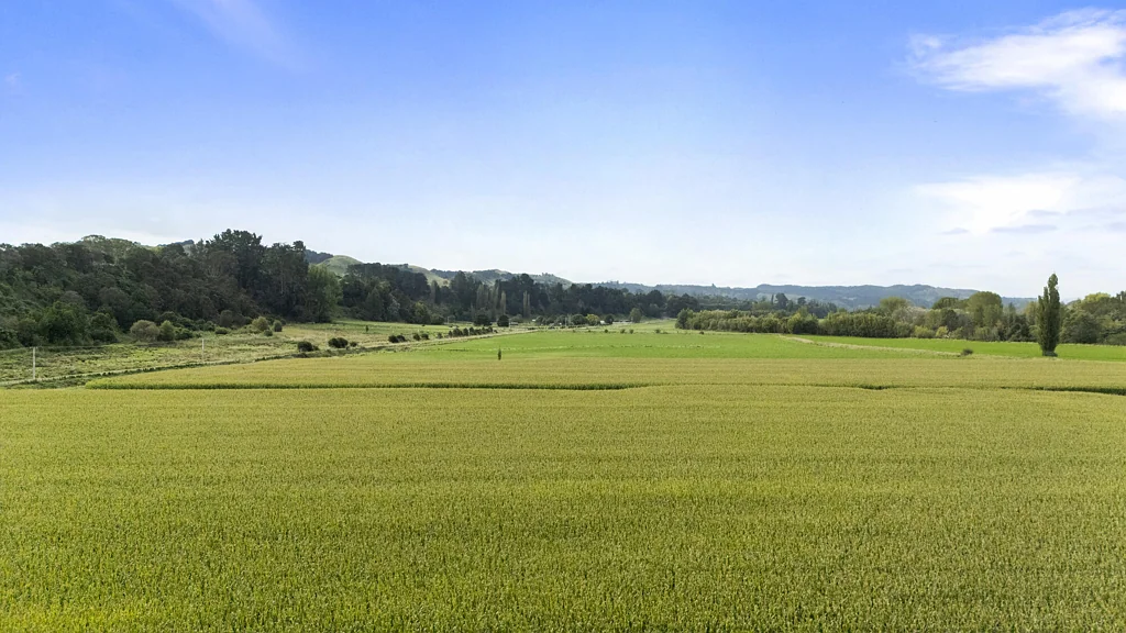 Ashhurst Proven productivity - 28.73 ha