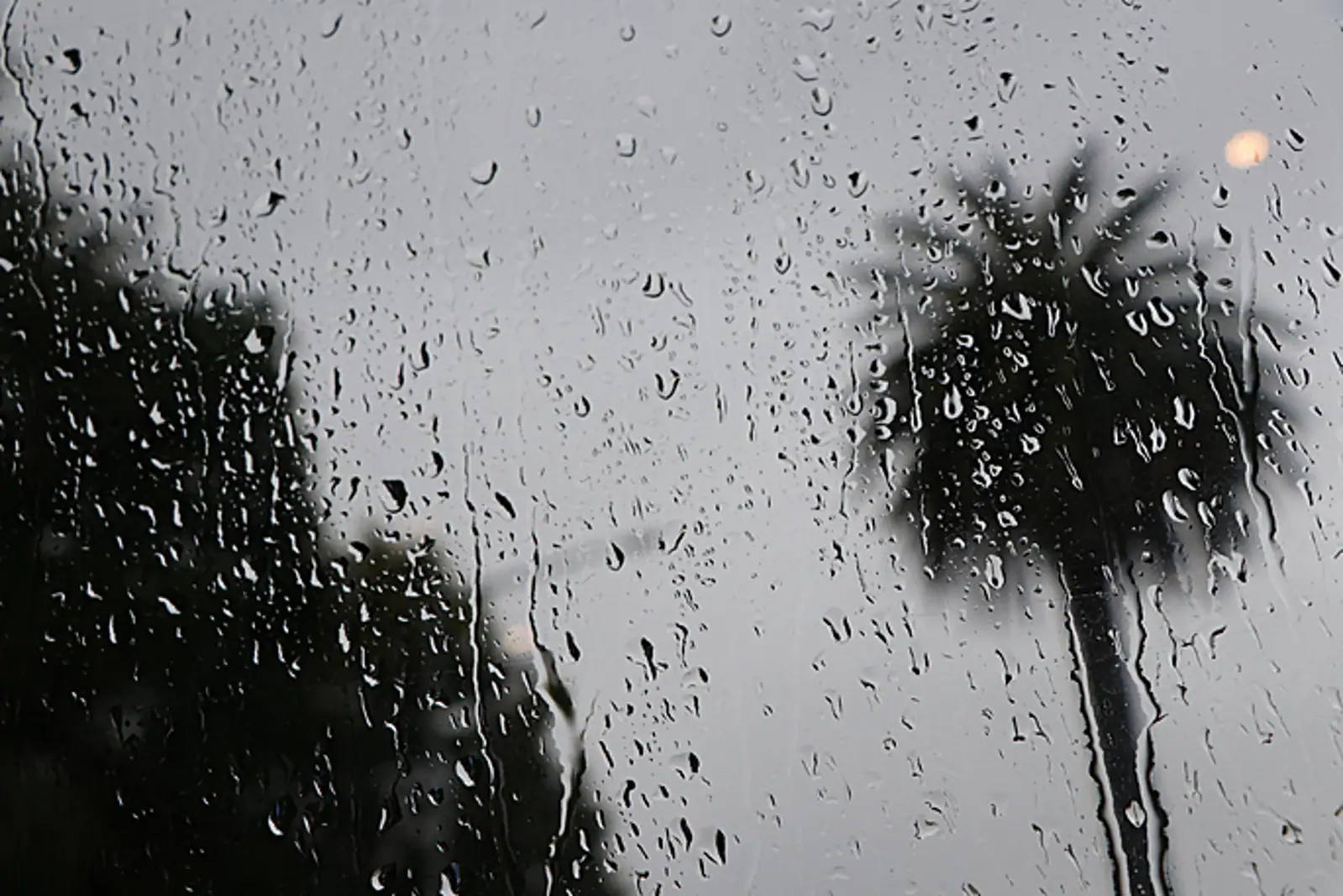 恶劣天气又要来了？本周新西兰将喜提大雨强风……