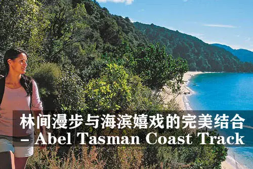 林间漫步与海滨嬉戏的完美结合 - 亚伯塔斯曼海滨步道（Abel Tasman Coast Track） ... ...