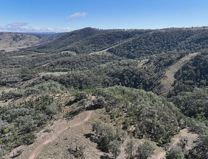 Lot 1
1872 Mole River Road, Tenterfield, Tamworth, 0 Bedrooms, 0 Bathrooms, Lifestyle Property