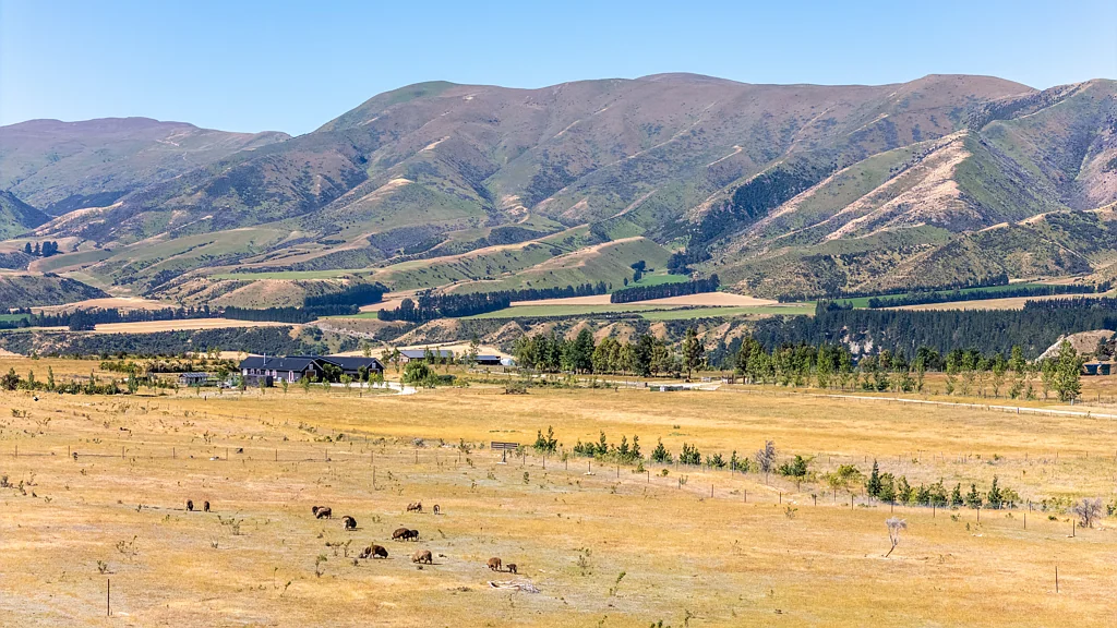 Queensberry Two Hectares of Prime Location and Views