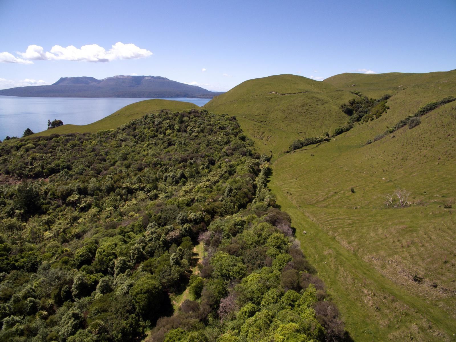 304 Spencer Road, Lake Tarawera, Rotorua, 0 chambres, 0 salles de bain